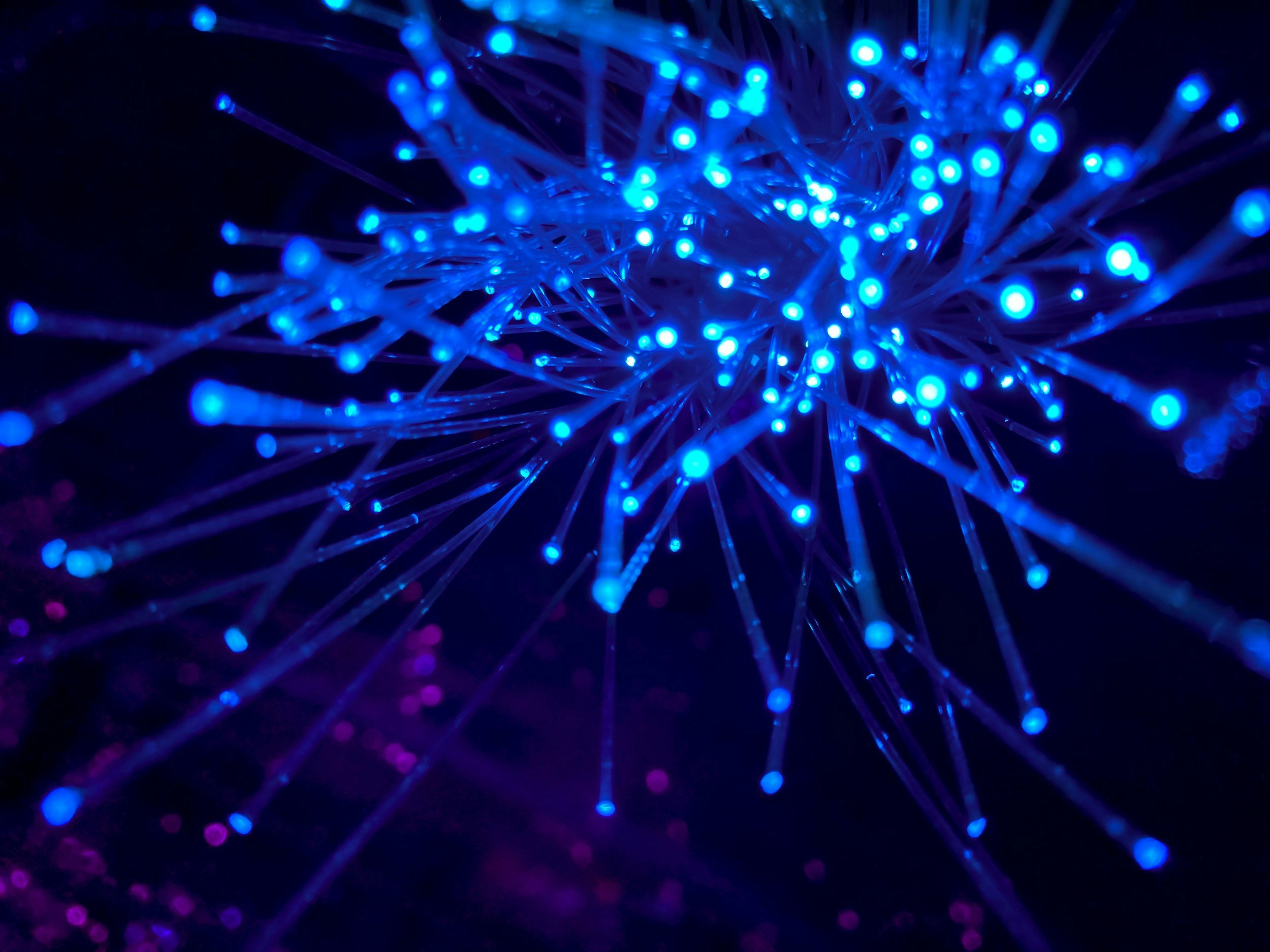 Custom Optical IC Design & ODM Services