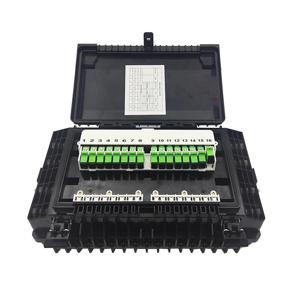 Fiber optic port of router that passes through walls